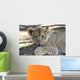 Lion Cub Wall Mural