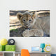 Lion Cub Wall Mural