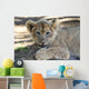 Lion Cub Wall Mural
