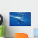 A young humpback calf swimming just under the surface waves Wall Mural