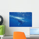 A young humpback calf swimming just under the surface waves Wall Mural