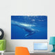 A young humpback calf swimming just under the surface waves Wall Mural