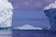 Penguins Iceberg