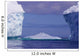 Penguins Iceberg