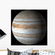 Jupiter Wall Mural