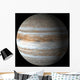 Jupiter Wall Mural