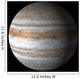 Jupiter Wall Mural