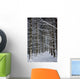 Forest Of Marburg In Winter, Germany Wall Mural