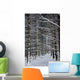 Forest Of Marburg In Winter, Germany Wall Mural