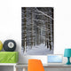 Forest Of Marburg In Winter, Germany Wall Mural