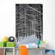 Forest Of Marburg In Winter, Germany Wall Mural