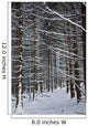 Forest Of Marburg In Winter, Germany Wall Mural