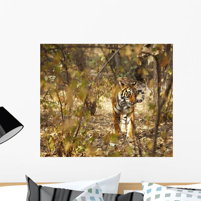 Tiger Undergrowth Ranthambore Park Wall Mural shown on a wall