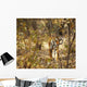 Tiger in the undergrowth at Ranthambore Park Rajasthan India Wall Mural