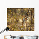 Tiger in the undergrowth at Ranthambore Park Rajasthan India Wall Mural