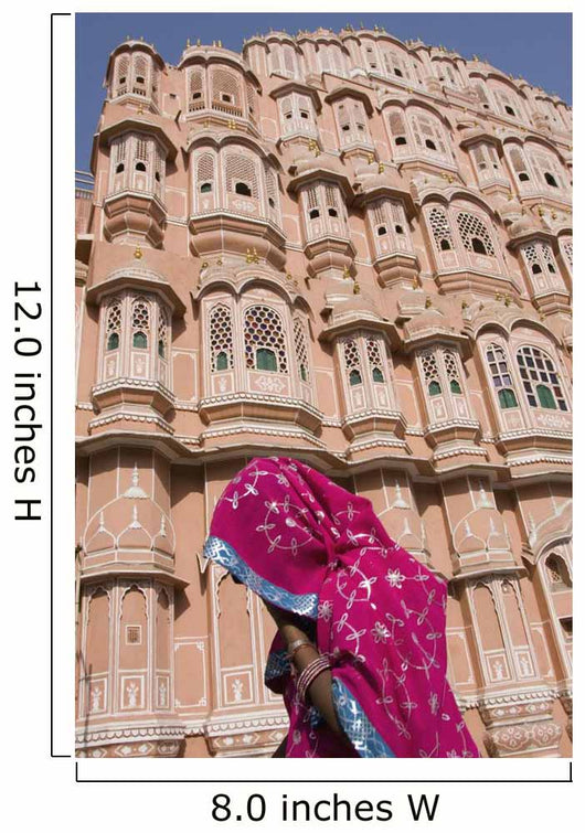 At Hawa Mahal City Palace, Jaipur's most distinctive landmark Wall Mural