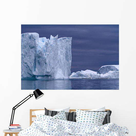 A Midnight Cruise Wall Mural