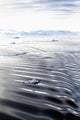 View Of The Mountainous West Coast Of Greenland Greenland Wall Mural