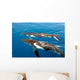 Two Humpback Whales Wall Mural