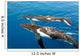 Two Humpback Whales Wall Mural