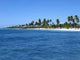 Mer Des Caraibes Wall Decal
