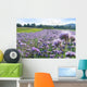 Phacelia Field Wall Decal