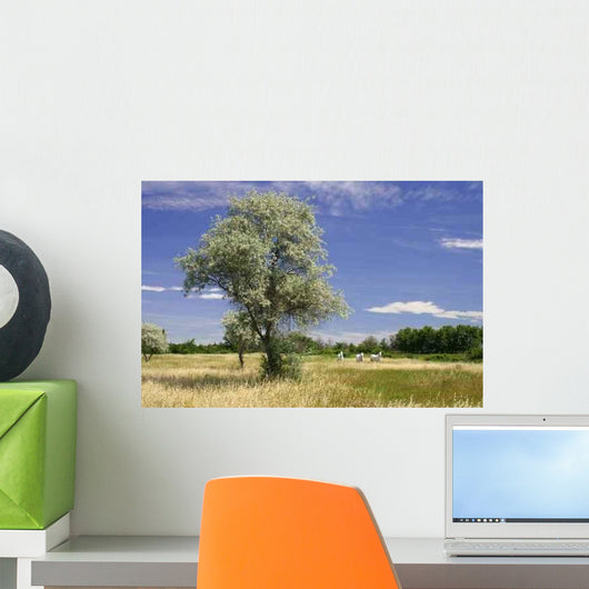 Maug1566 Wall Decal