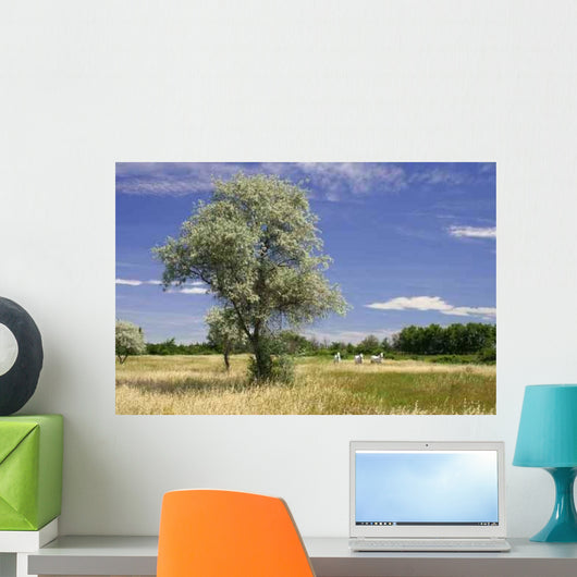Maug1566 Wall Decal