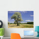 Maug1566 Wall Decal