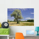 Maug1566 Wall Decal