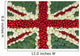 The Union Jack flag made with tomatoes, cauliflower and broccoli Wall Mural