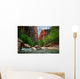 River in Zion Canyon Wall Mural