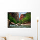 River in Zion Canyon Wall Mural