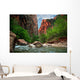 River in Zion Canyon Wall Mural