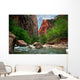 River in Zion Canyon Wall Mural