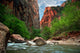 River in Zion Canyon Wall Mural