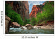 River in Zion Canyon Wall Mural