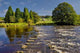 Stepping Stones across River Wall Decal