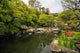 Hasedera Temple Famous Temple Wall Decal