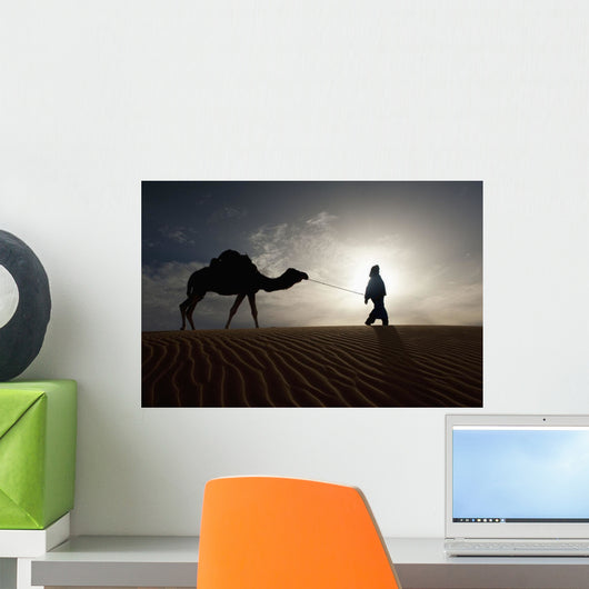Silhouette Of Berber Leading Camel Across Sand Dunes At Dusk Wall Mural