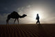 Silhouette Of Berber Leading Camel Across Sand Dunes At Dusk Wall Mural
