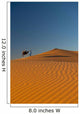 Merzouga, Morocco Wall Mural