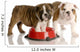 Two Bulldogs Puppies and Dog Food Dish Wall Decal
