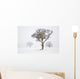 Oak Tree Snow Fog Wall Mural