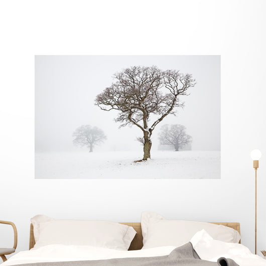 Oak Tree Snow Fog Wall Mural