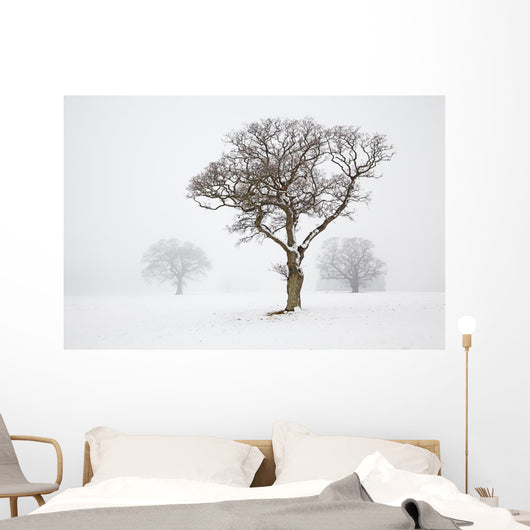 Oak Tree Snow Fog Wall Mural