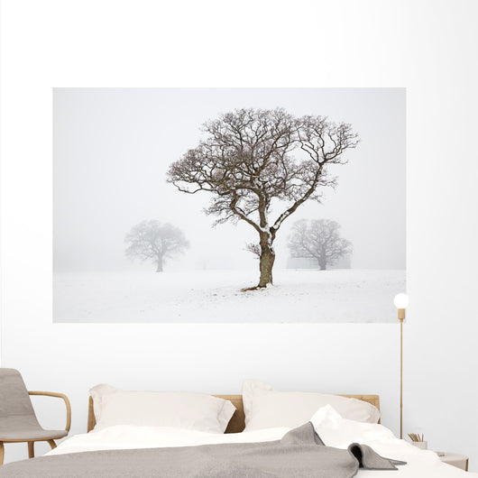 Oak Tree Snow Fog Wall Mural