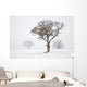 Oak Tree Snow Fog Wall Mural