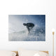 A Man Surfing Off Bunker Beach Wall Mural