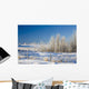 Frost-Covered Trees In Snowy Field Wall Mural